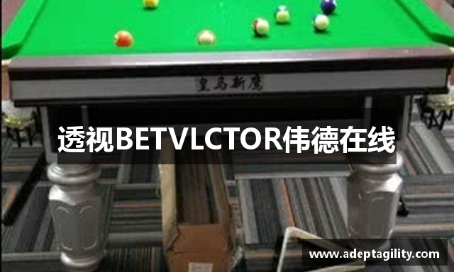 透视BETVLCTOR伟德在线